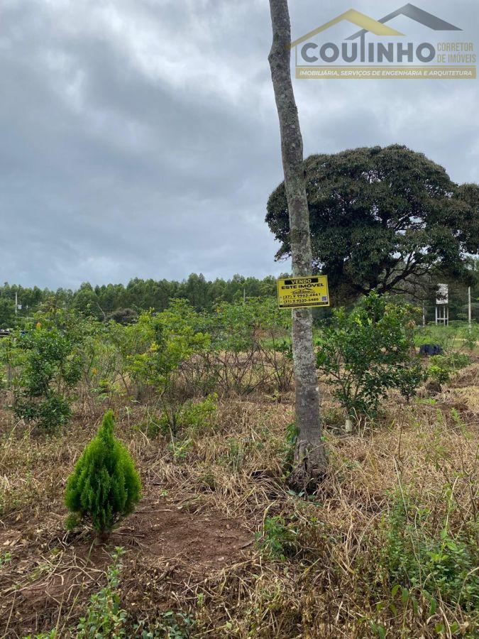 WhatsApp Image 2026-02-27 at 10.27.52.jpeg